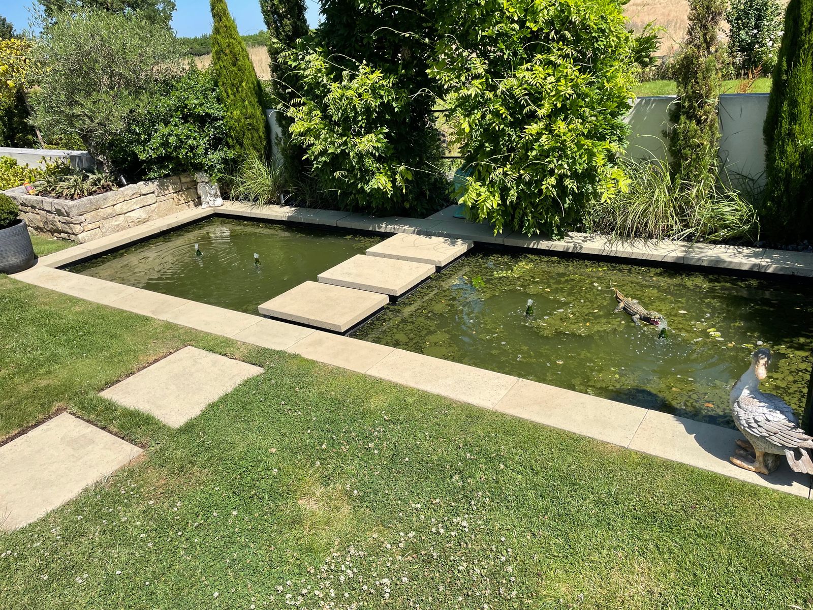Cleaned paving around a garden pond